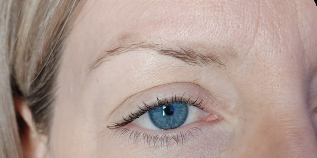 Eyebrows before microblading